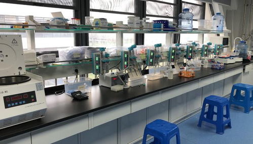 早篩創新與科技融合，天浚元生生物獲國高生物戰投，領跑教育科技軟件研發新賽道